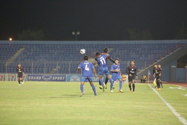 不仅展示了 不仅展示了