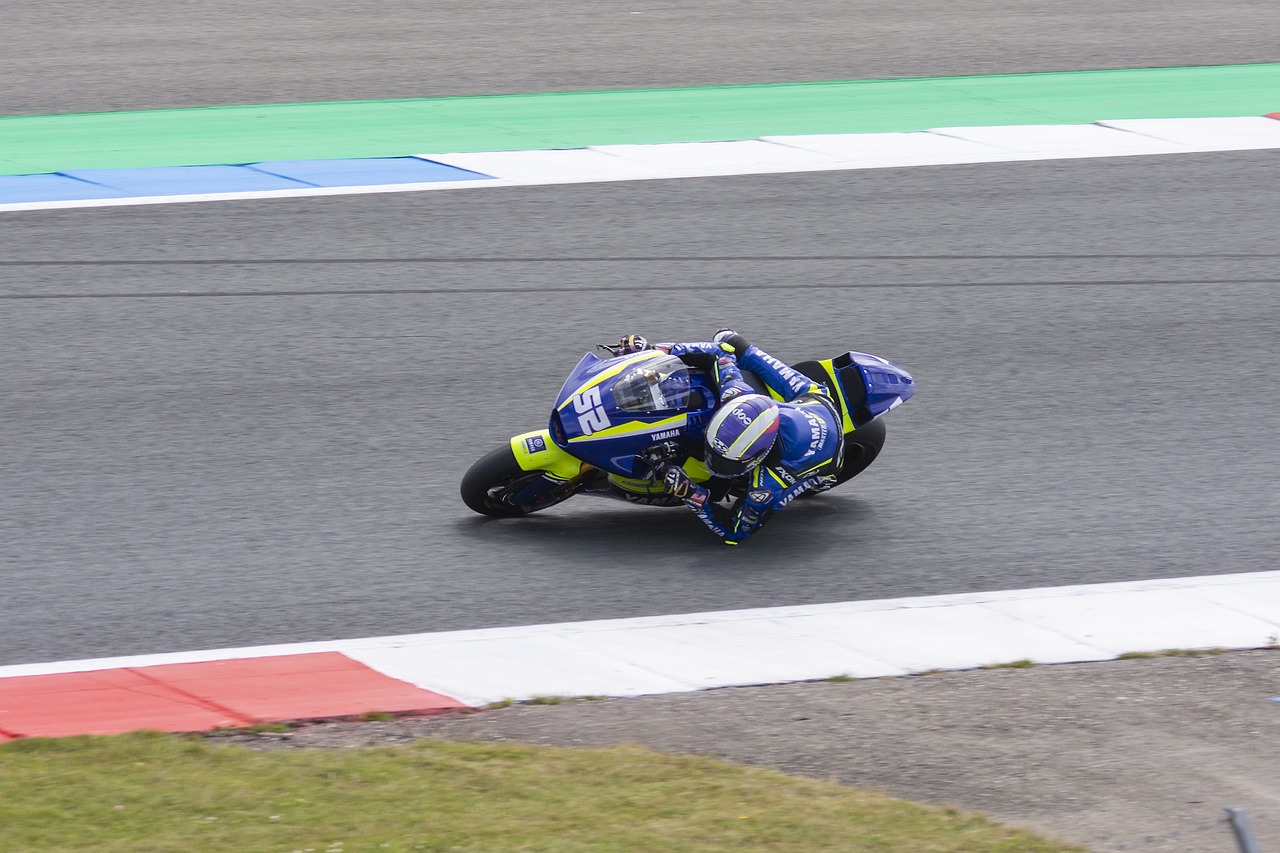 的家庭进行 的家庭进行