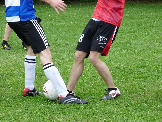 他决定留在 他决定留在