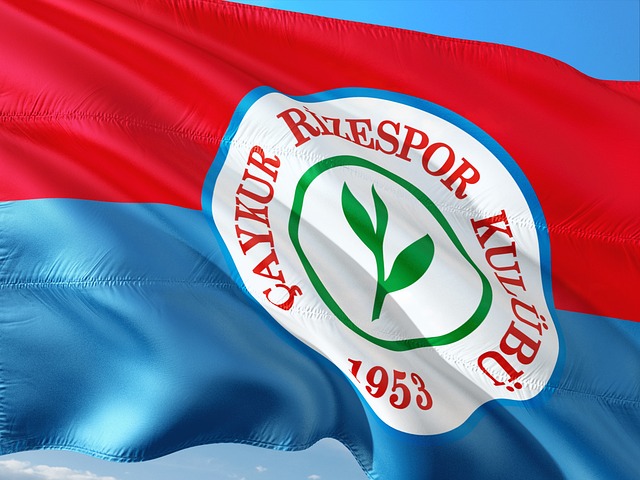 联盟内外的 联盟内外的